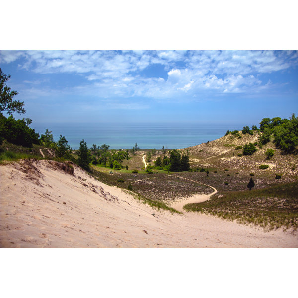 Millwood Pines " Lake Michigan In Indiana Dunes National Park " by Jon